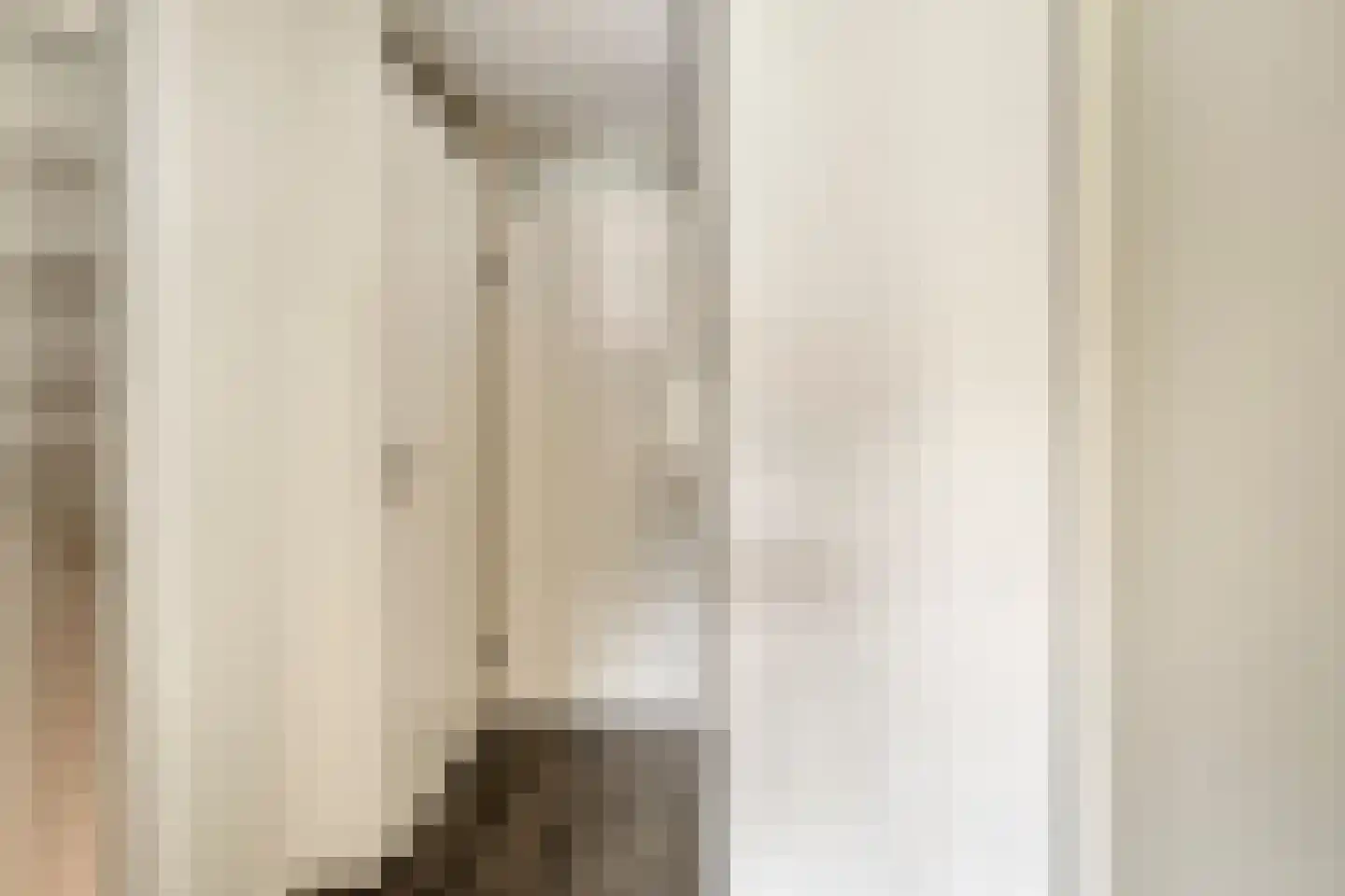 Vlouwakkers 3 Annen thumbnail 24