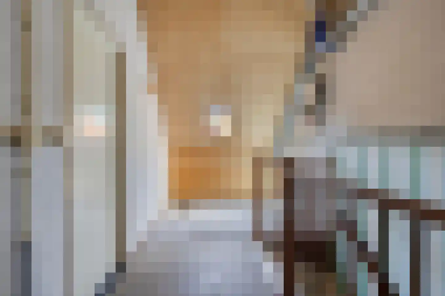 Vlouwakkers 3 Annen thumbnail 38