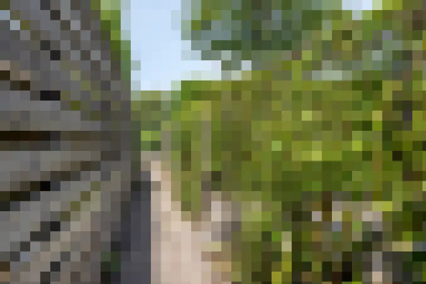 Vlouwakkers 3 Annen thumbnail 48