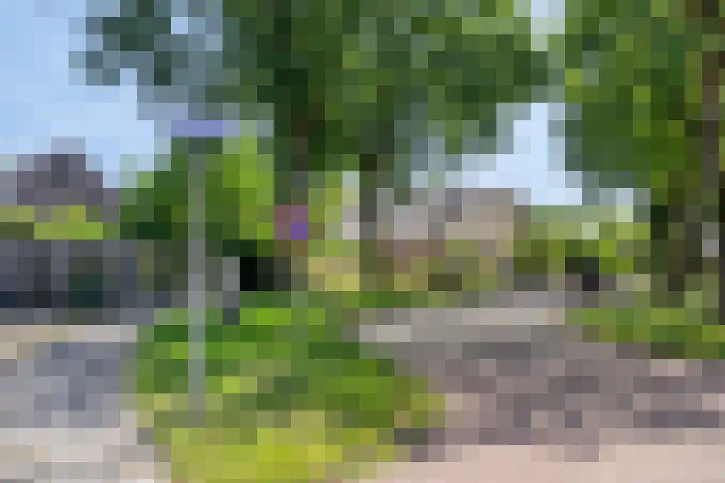 Vlouwakkers 3 Annen thumbnail 50
