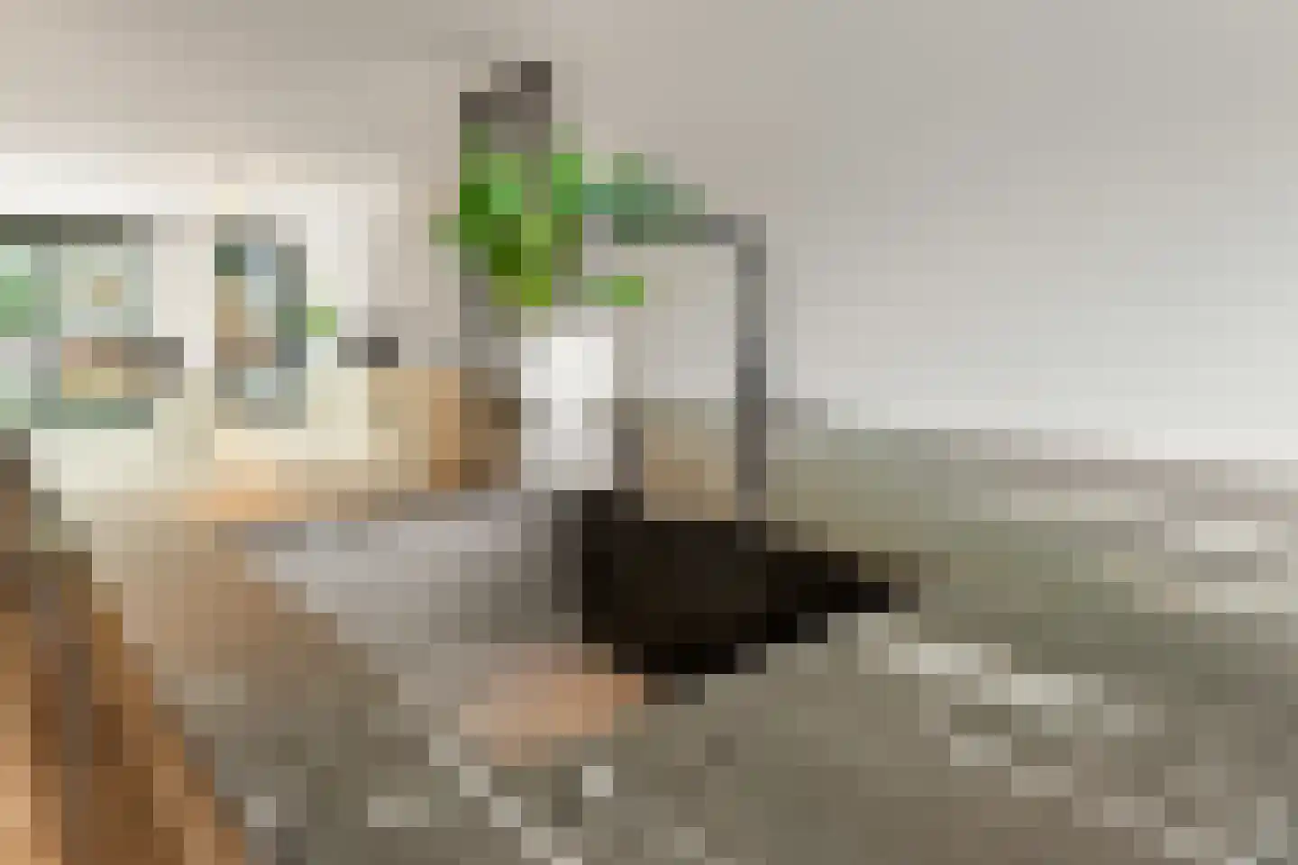 Vlowijkerpolder 10 De Meern thumbnail 11