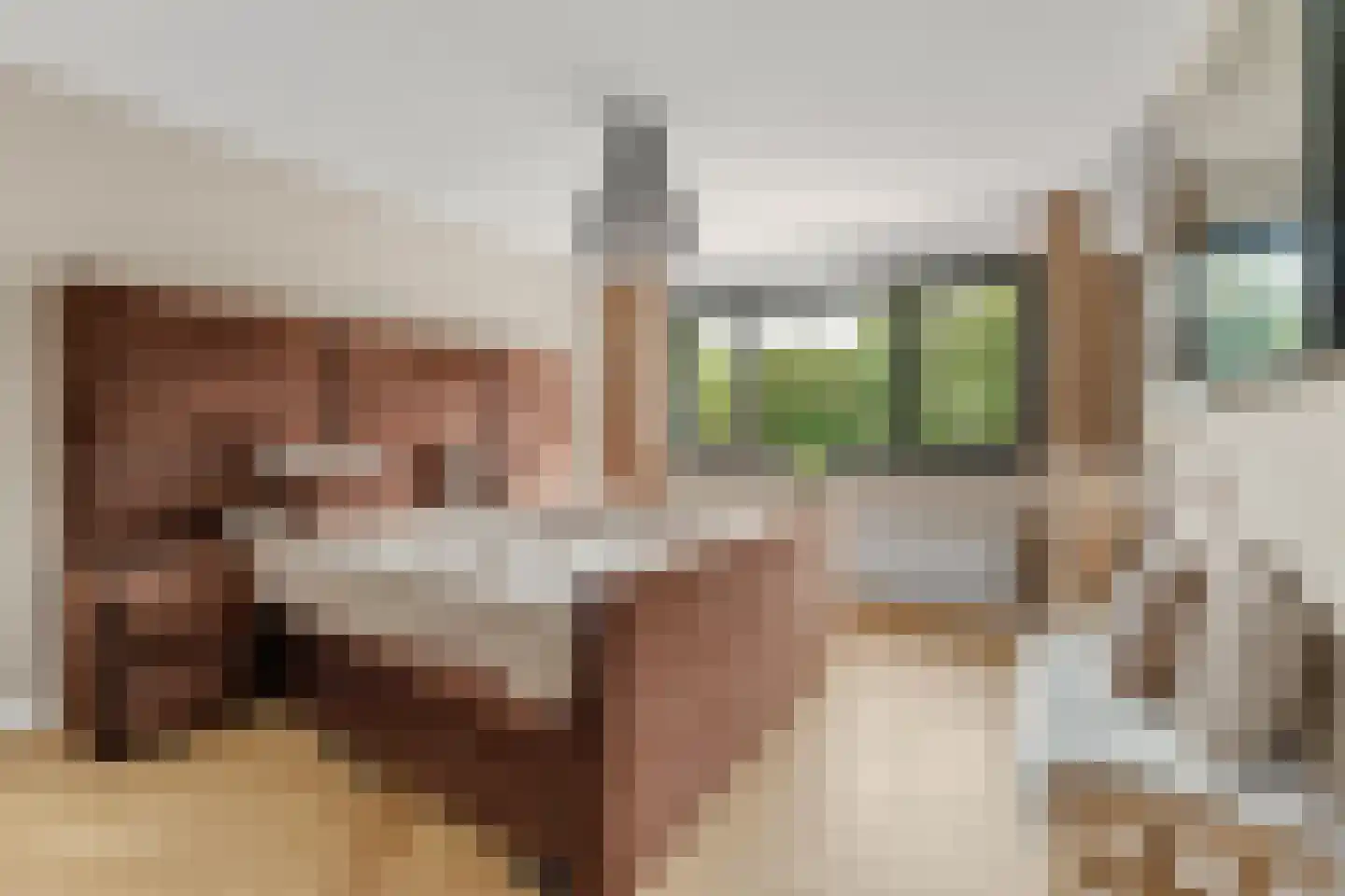 Vlowijkerpolder 10 De Meern thumbnail 15