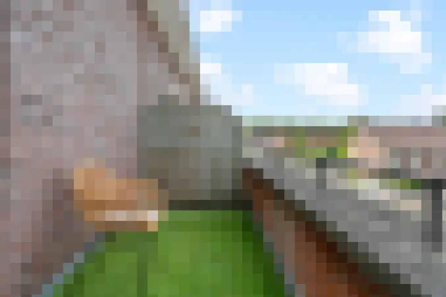 Vlowijkerpolder 10 De Meern thumbnail 26