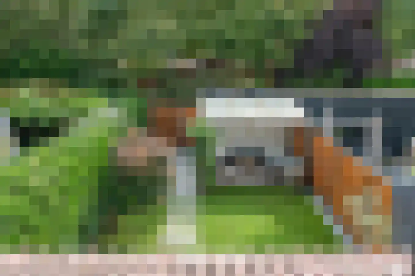 Vlowijkerpolder 10 De Meern thumbnail 28