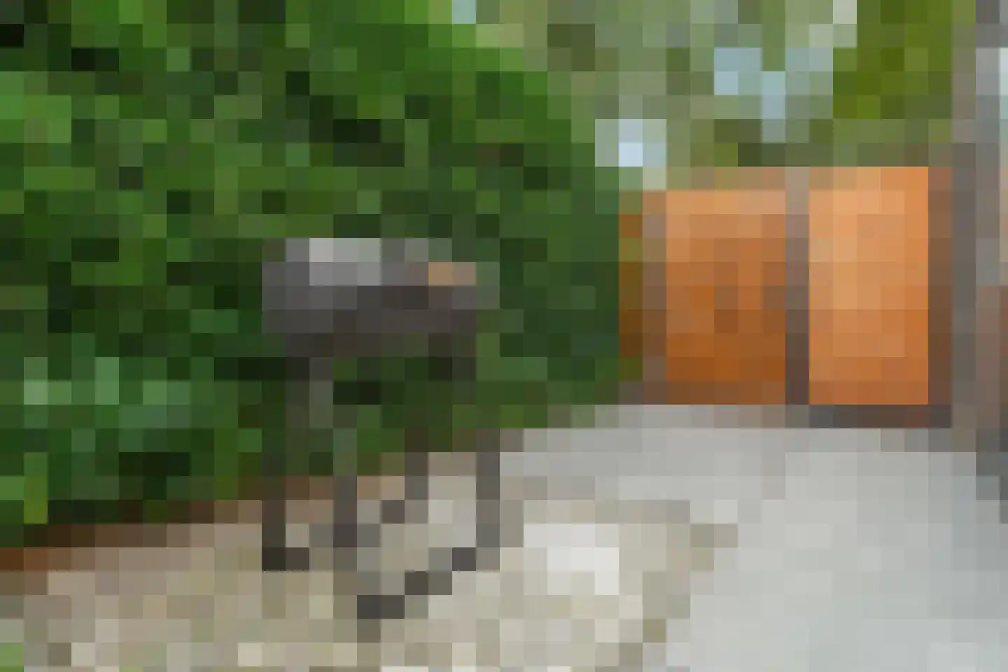 Vlowijkerpolder 10 De Meern thumbnail 31