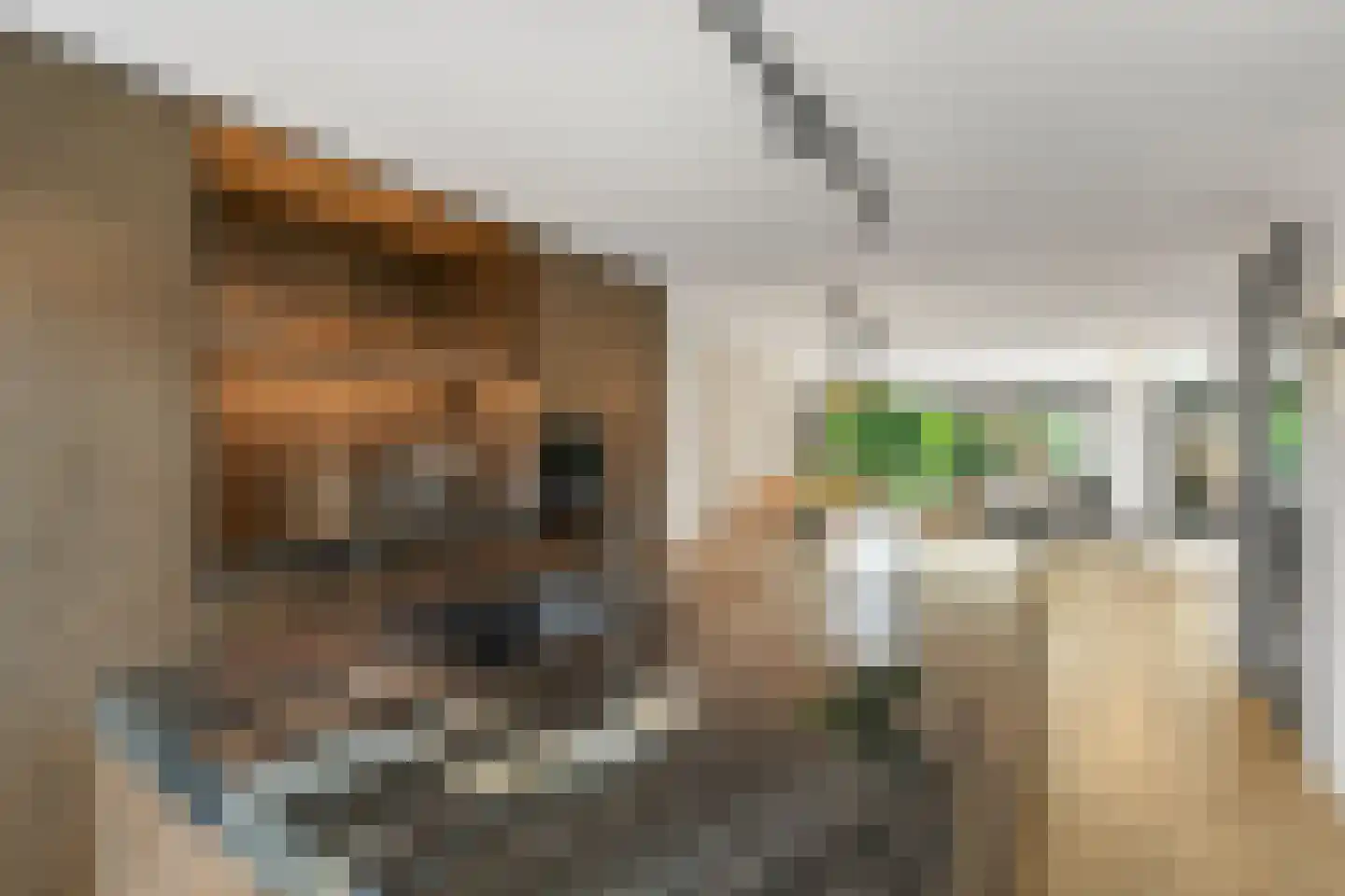 Vlowijkerpolder 10 De Meern thumbnail 4