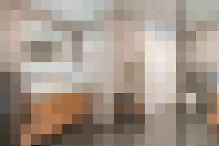 Vlowijkerpolder 18 De Meern thumbnail 31