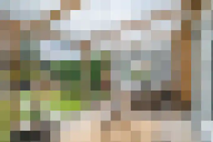 Vlowijkerpolder 18 De Meern thumbnail 44