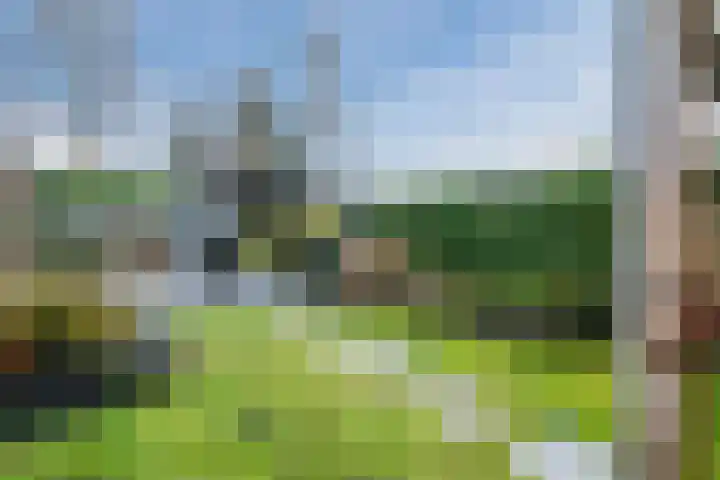 Vlowijkerpolder 18 De Meern thumbnail 45