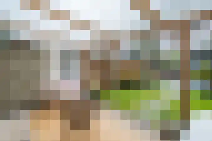 Vlowijkerpolder 18 De Meern thumbnail 5