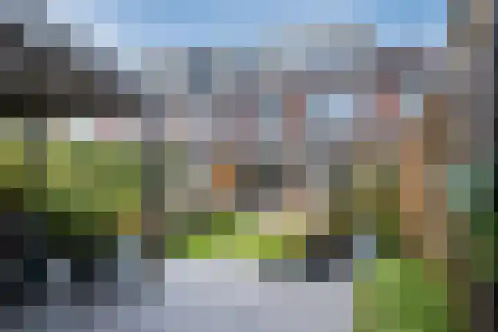 Vlowijkerpolder 18 De Meern thumbnail 50