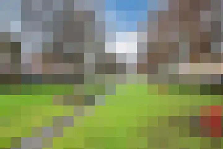 Vlowijkerpolder 18 De Meern thumbnail 56