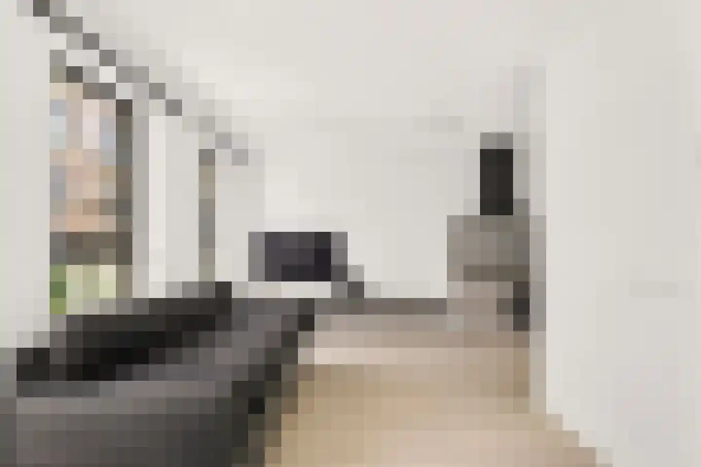 Vluchtladderstraat 11 Amsterdam thumbnail 9