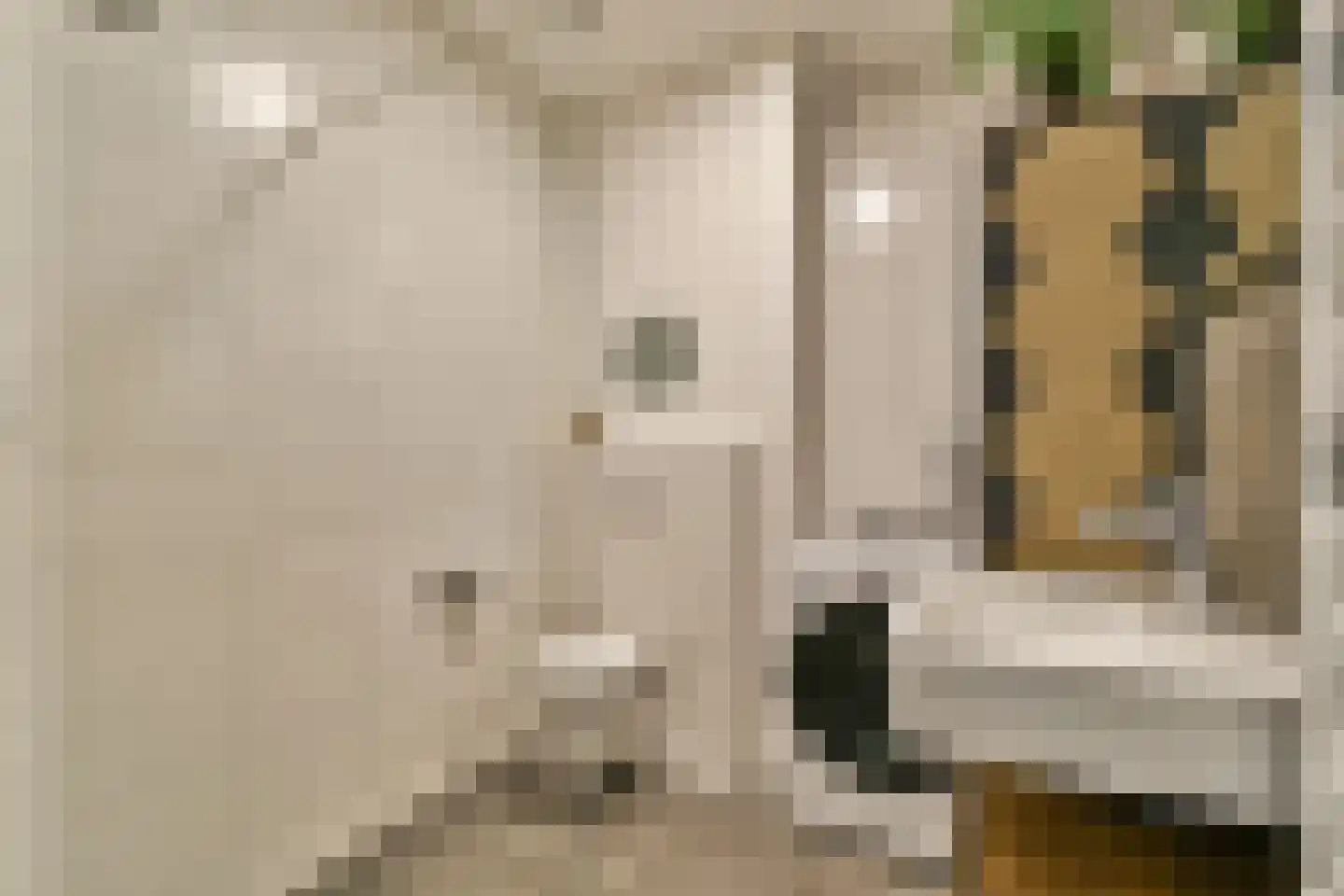 Vluchtladderstraat 21 Amsterdam thumbnail 18