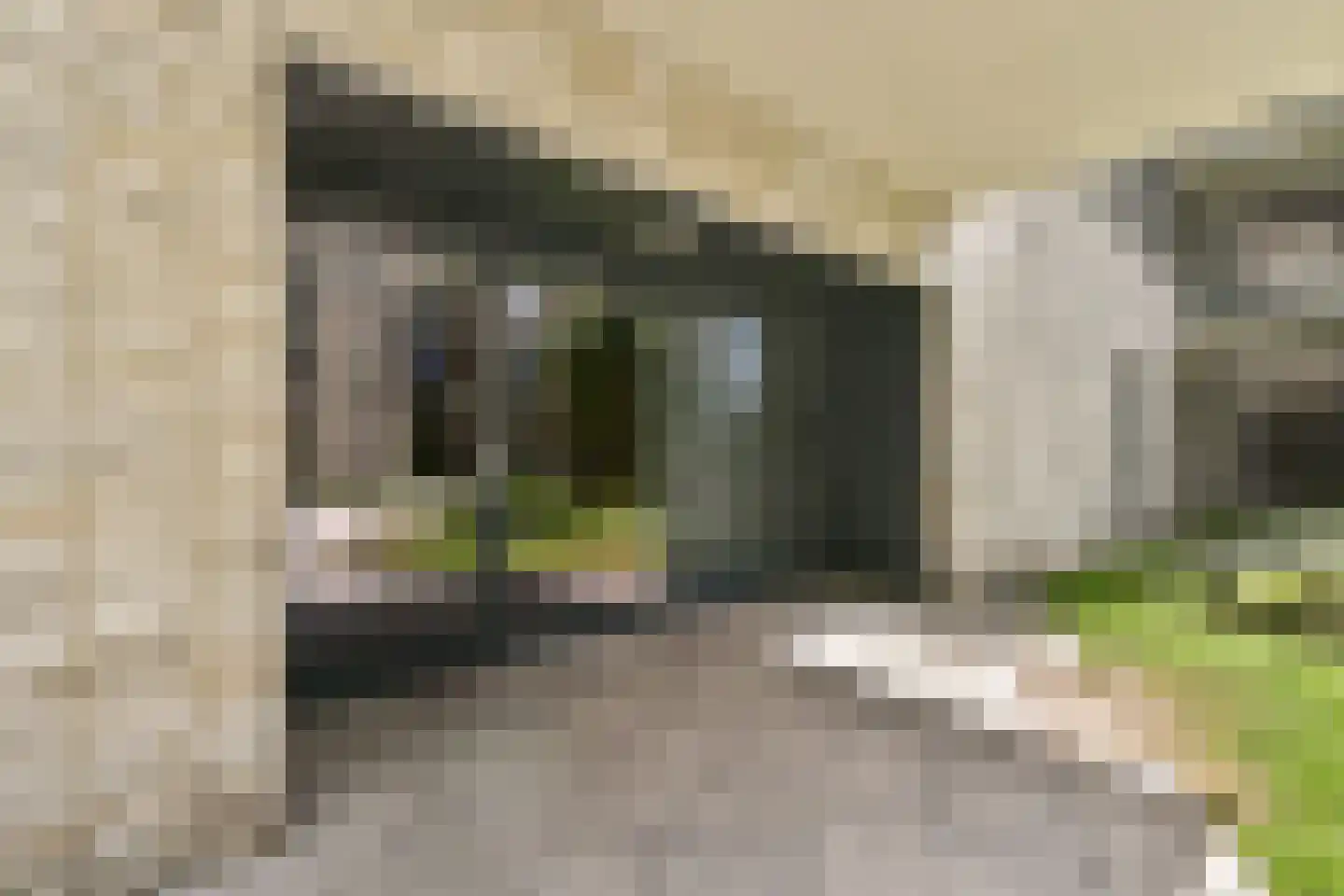 Vluchtladderstraat 21 Amsterdam thumbnail 21