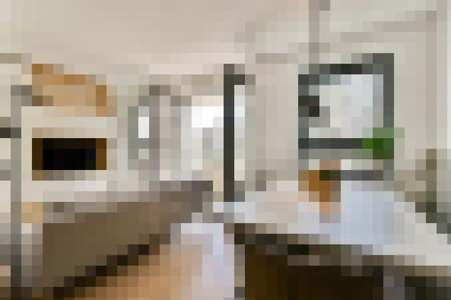 Vluchtladderstraat 21 Amsterdam thumbnail 4