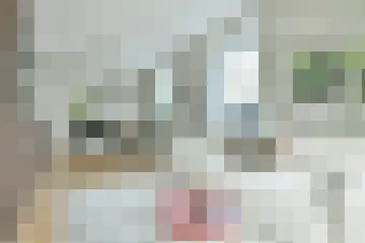 Vluchtladderstraat 29 Amsterdam thumbnail 8