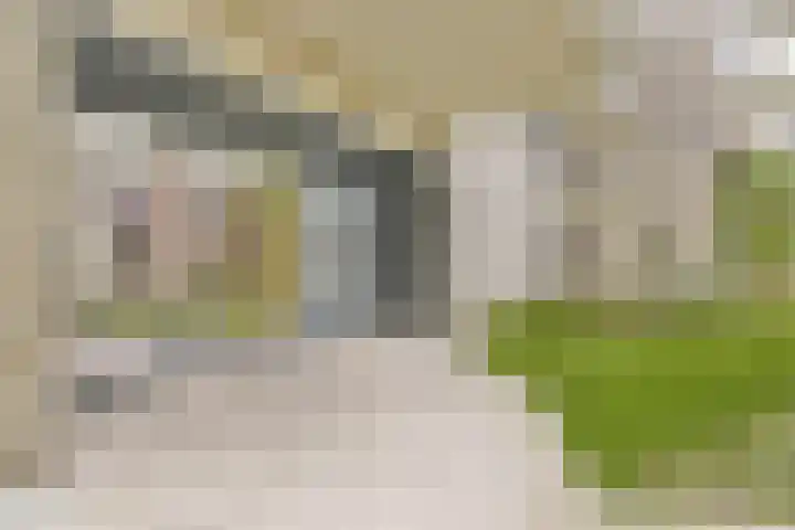 Vluchtladderstraat 33 Amsterdam thumbnail 5