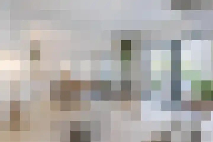 Vluchtladderstraat 5 Amsterdam thumbnail 4