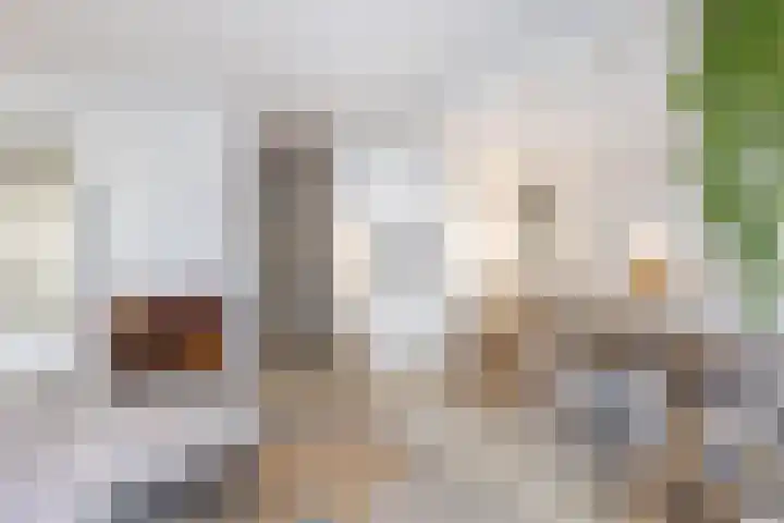 Vluchtladderstraat 5 Amsterdam thumbnail 6