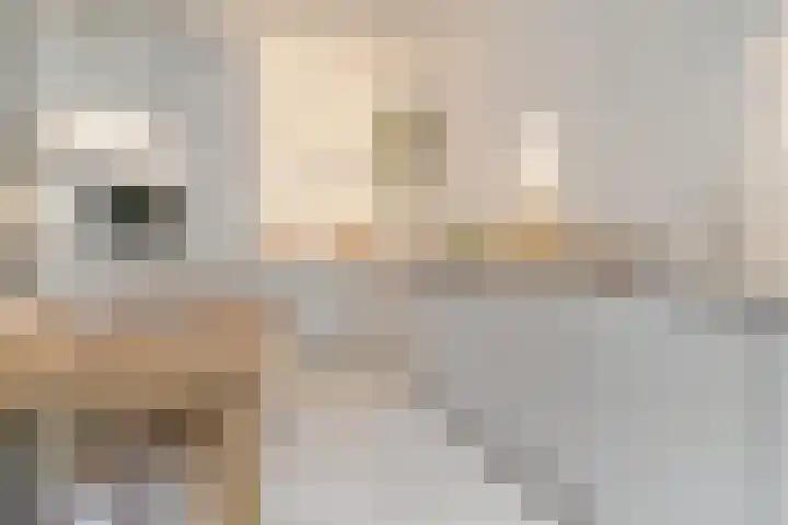 Vluchtladderstraat 5 Amsterdam thumbnail 9
