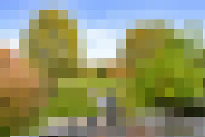 Vluchtoordweg 6 Uden thumbnail 39