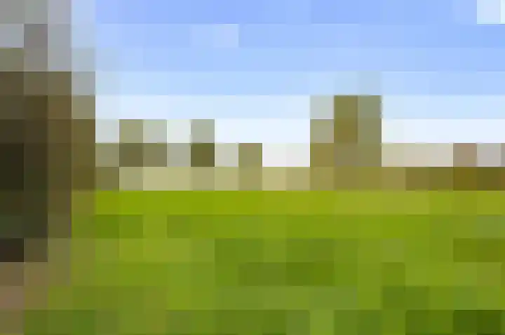 Vluchtoordweg 6 Uden thumbnail 50