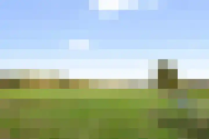 Vluchtoordweg 6 Uden thumbnail 52