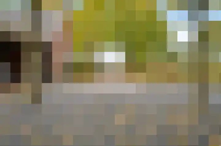 Vluchtoordweg 6 Uden thumbnail 7