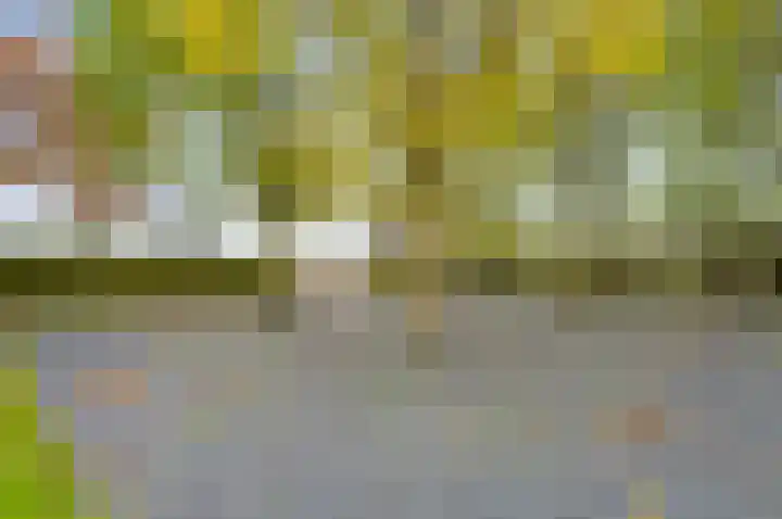 Vluchtoordweg 6 Uden thumbnail 8