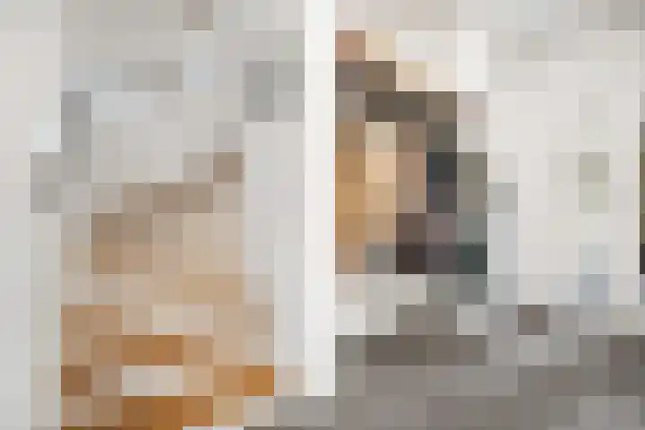 Vluchtoordweg 6 Uden thumbnail 9