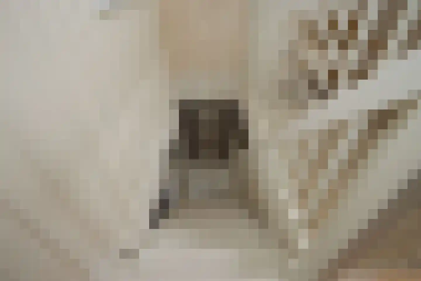 Vlugthovenstraat 7 Santpoort-Noord thumbnail 25