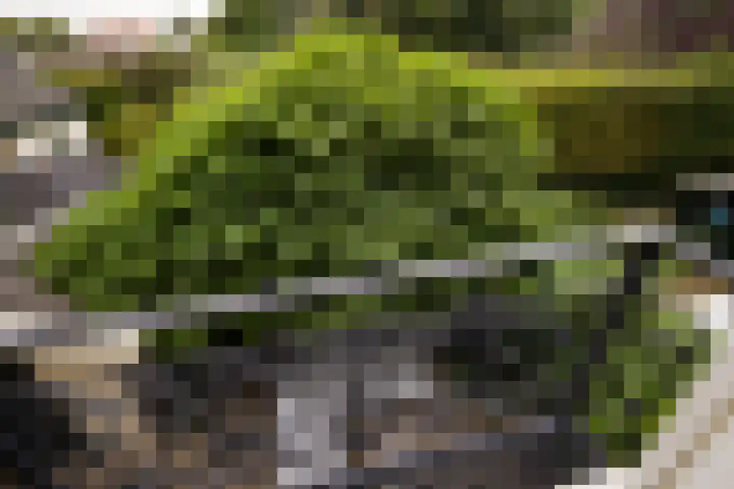 Vlugthovenstraat 7 Santpoort-Noord thumbnail 32