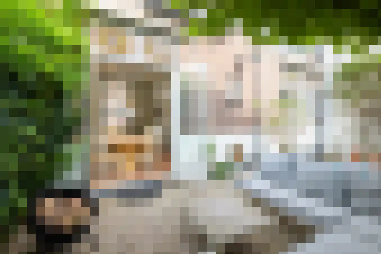 Vlugthovenstraat 7 Santpoort-Noord thumbnail 7