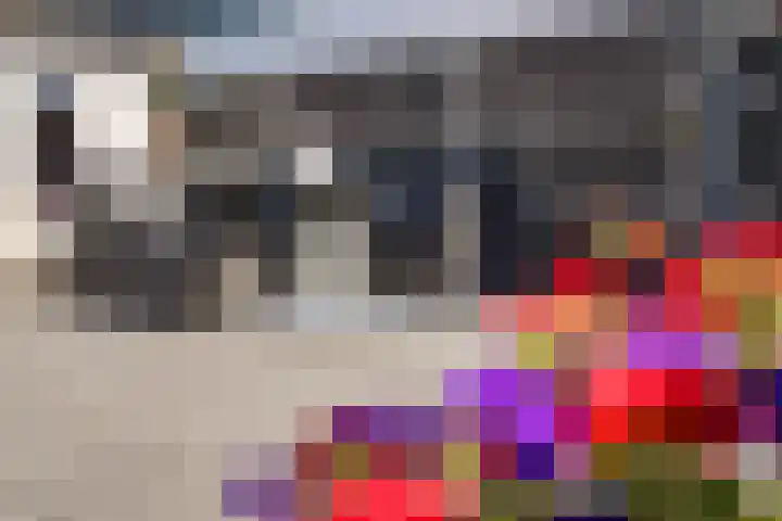 Vlusch 30 Krommenie thumbnail 17
