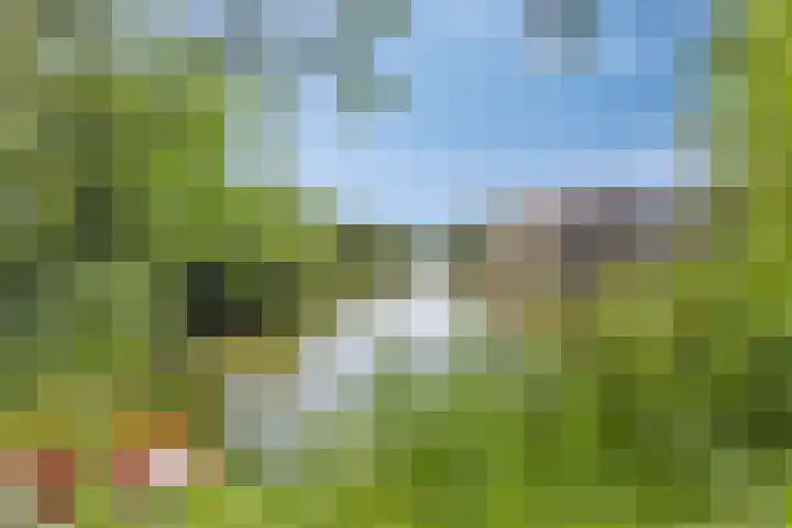 Vlusch 30 Krommenie thumbnail 27