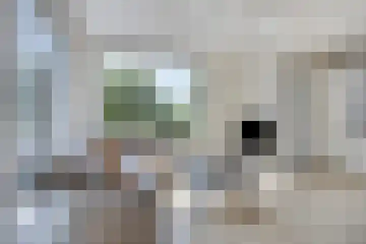 Vlusch 30 Krommenie thumbnail 7