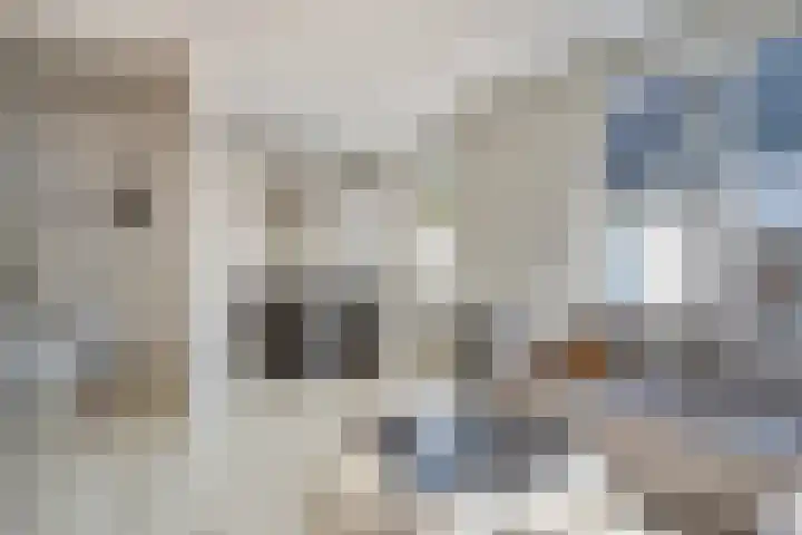 Vlusch 30 Krommenie thumbnail 8