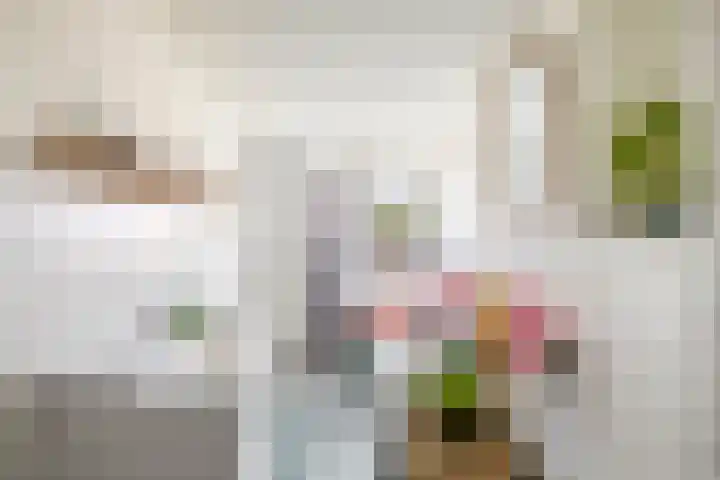 Vlusch 46 Krommenie foto 3