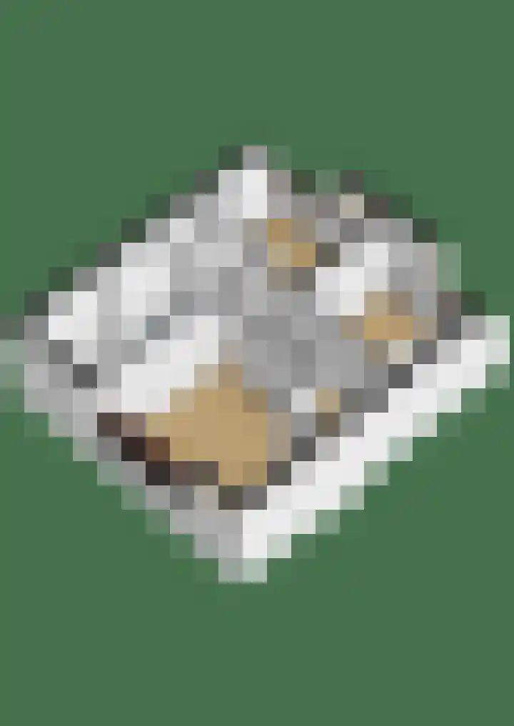 Vlusch 46 Krommenie thumbnail 50