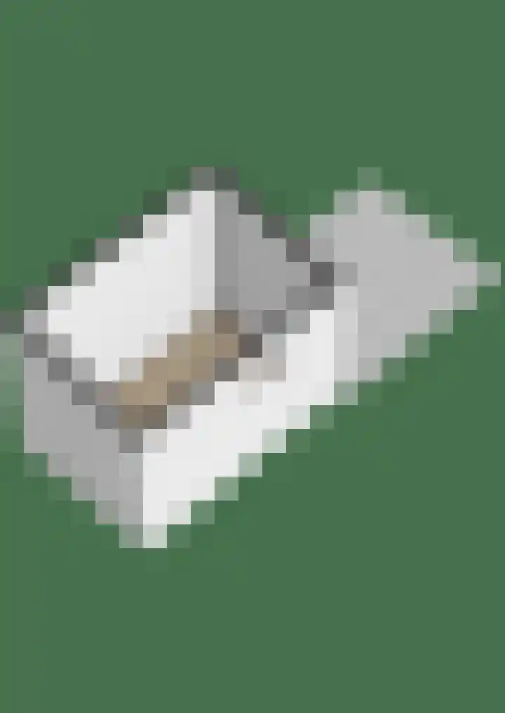 Vlusch 46 Krommenie thumbnail 54