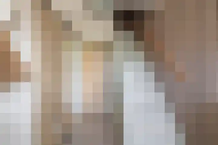 Vlusch 46 Krommenie thumbnail 9