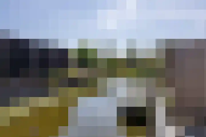 Vlusch 47 Krommenie thumbnail 15