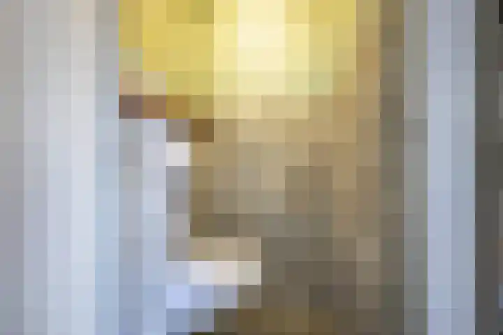 Vlusch 47 Krommenie foto 3