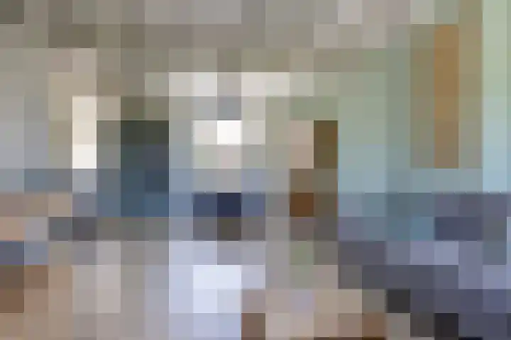 Vlusch 47 Krommenie thumbnail 9