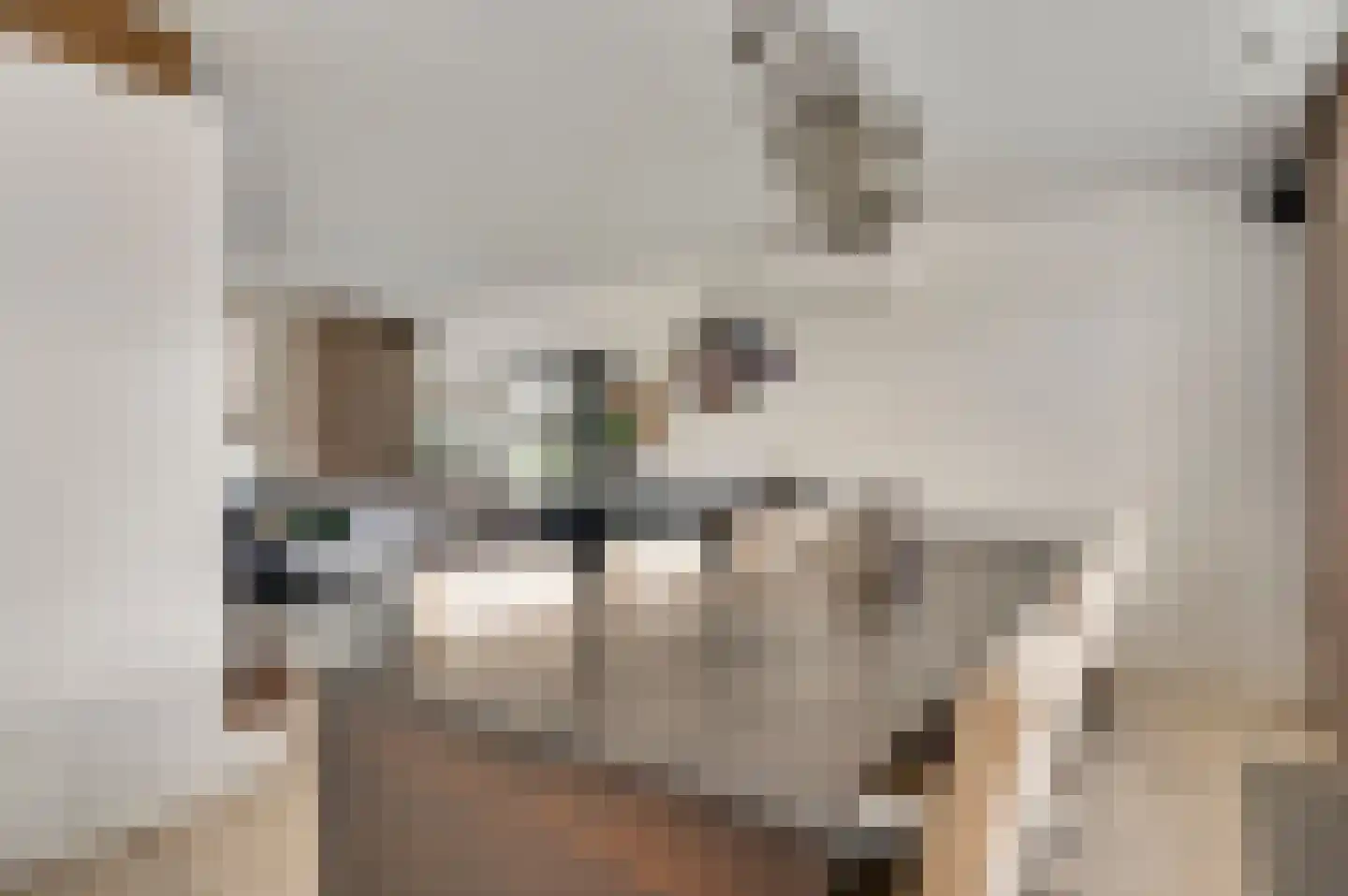 Vlut 18 Ospel thumbnail 17