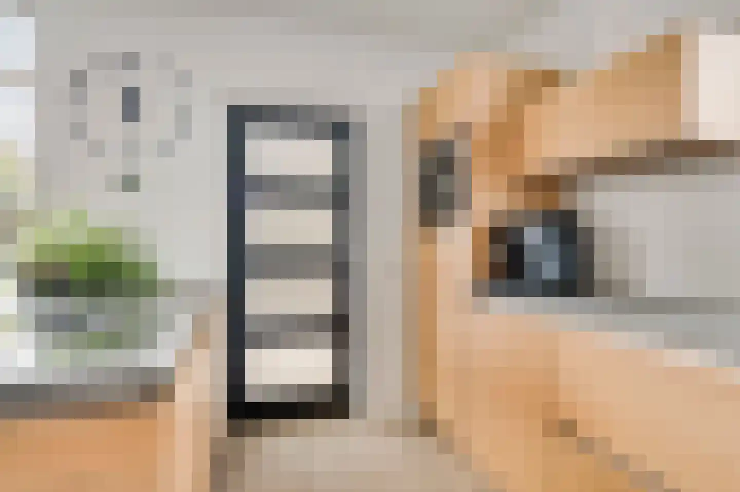 Vlut 18 Ospel thumbnail 18