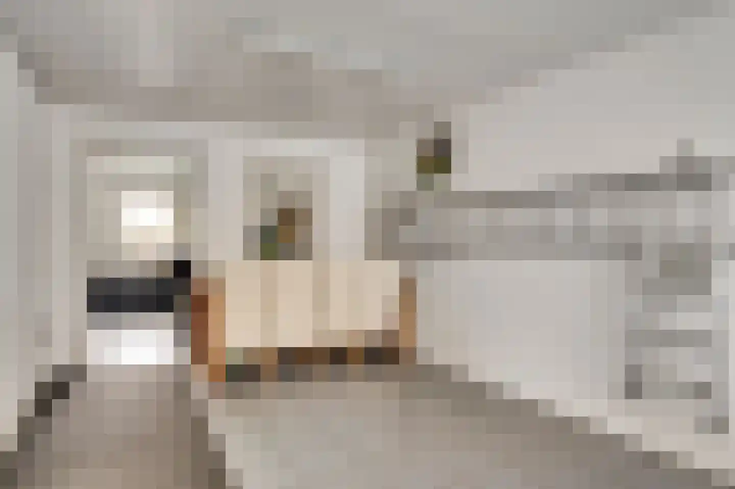 Vlut 18 Ospel thumbnail 21