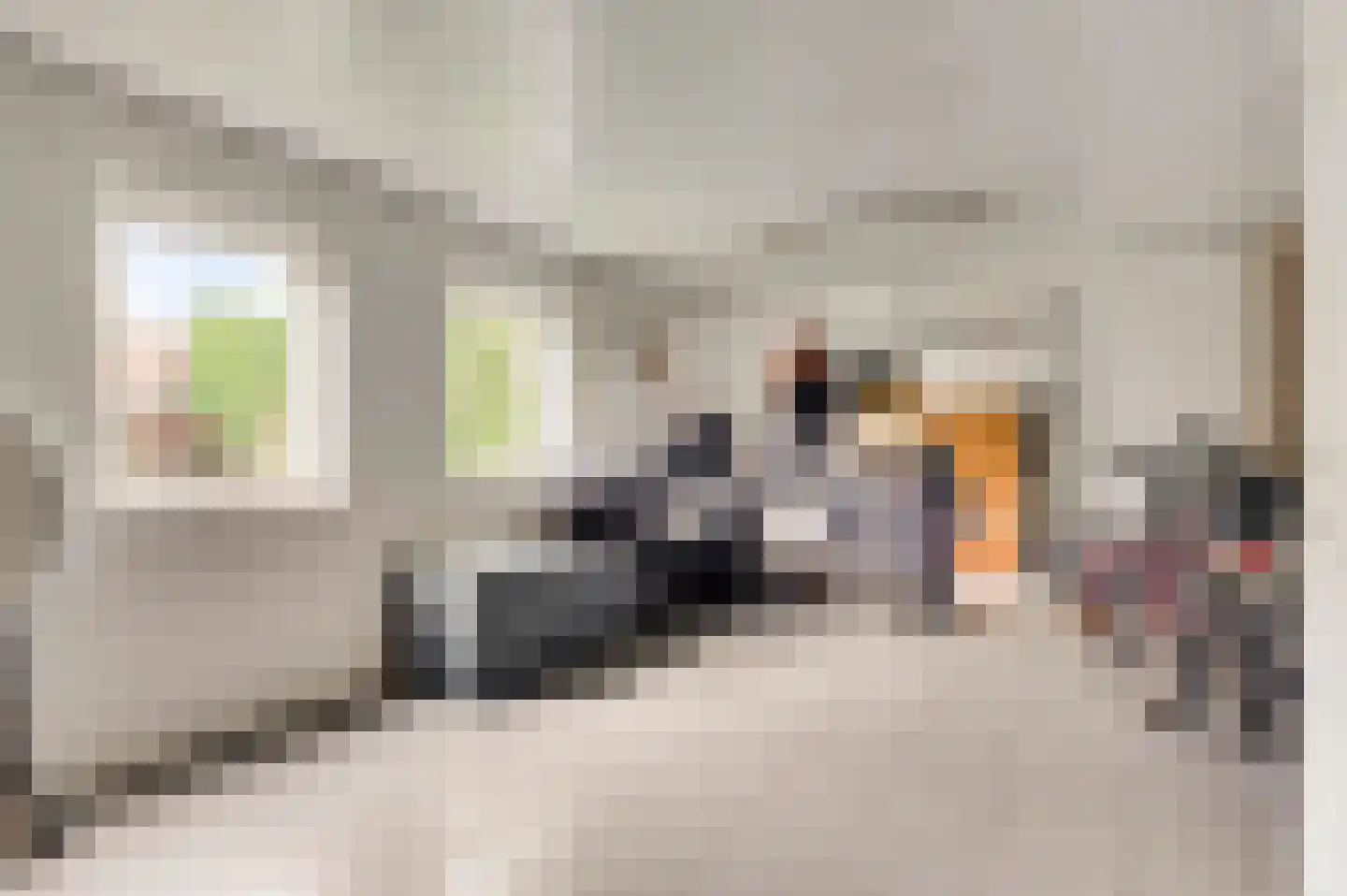 Vlut 18 Ospel thumbnail 24
