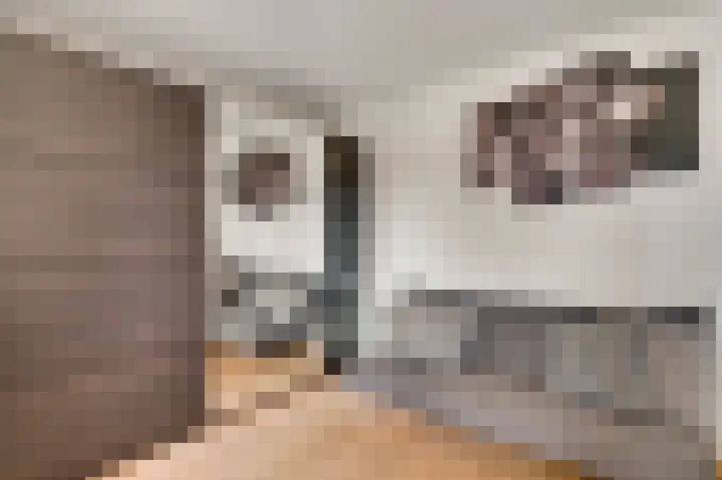 Vlut 18 Ospel thumbnail 39